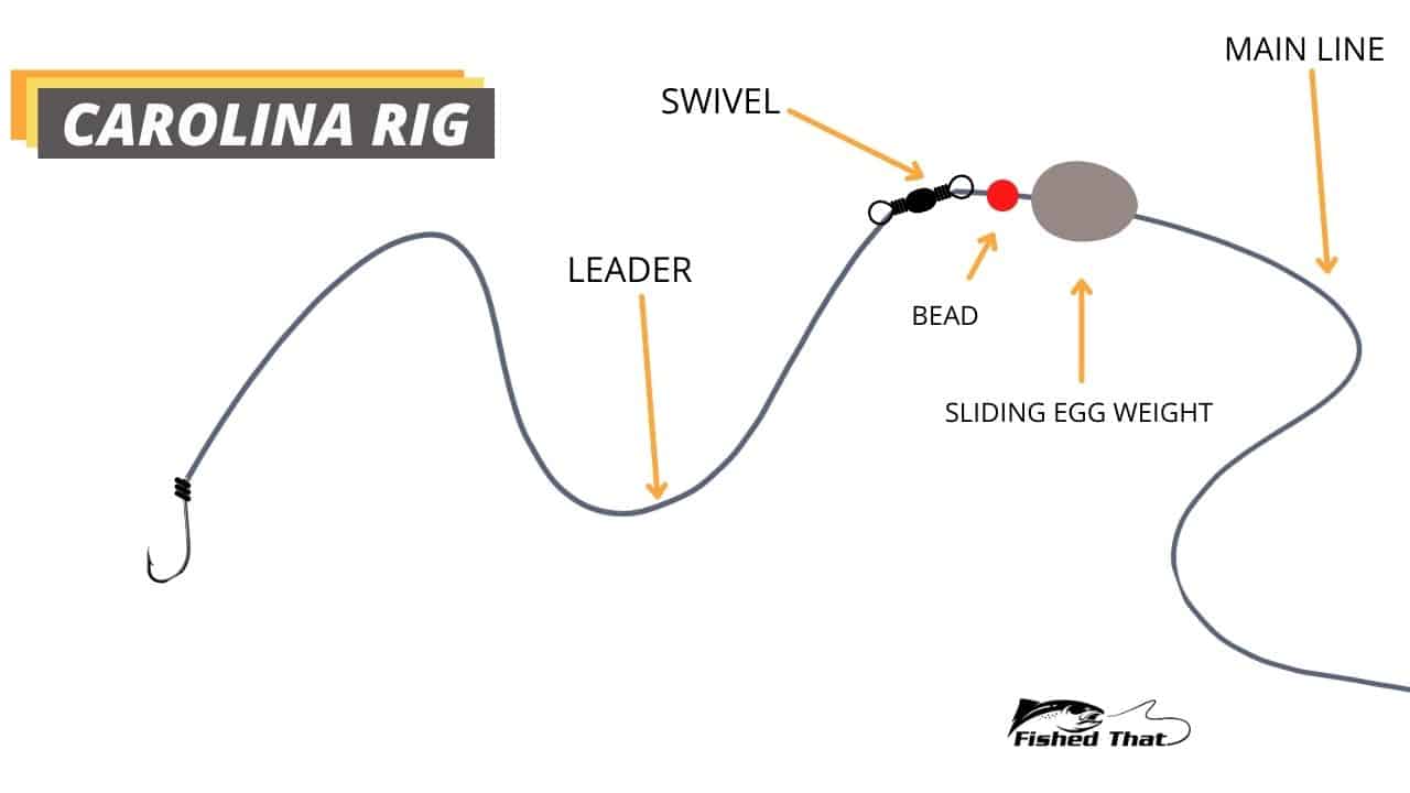 Carolina Rig Leader Line At Alfredo Russell Blog