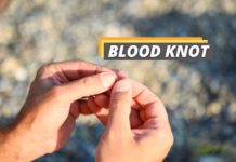 Blood knots featured image form Fished That