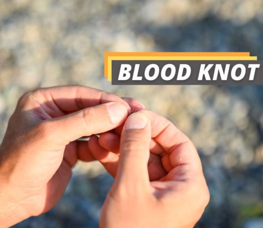 Blood knots featured image form Fished That