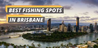 fishing spots in Brisbane featured image from Fished That.