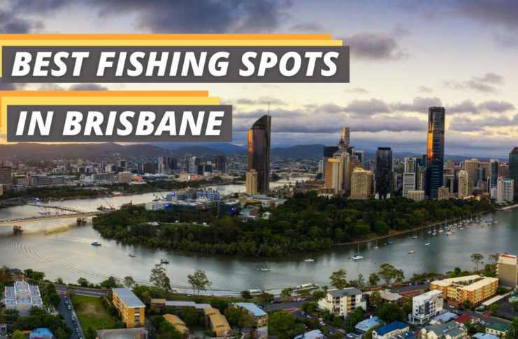 fishing spots in Brisbane featured image from Fished That.