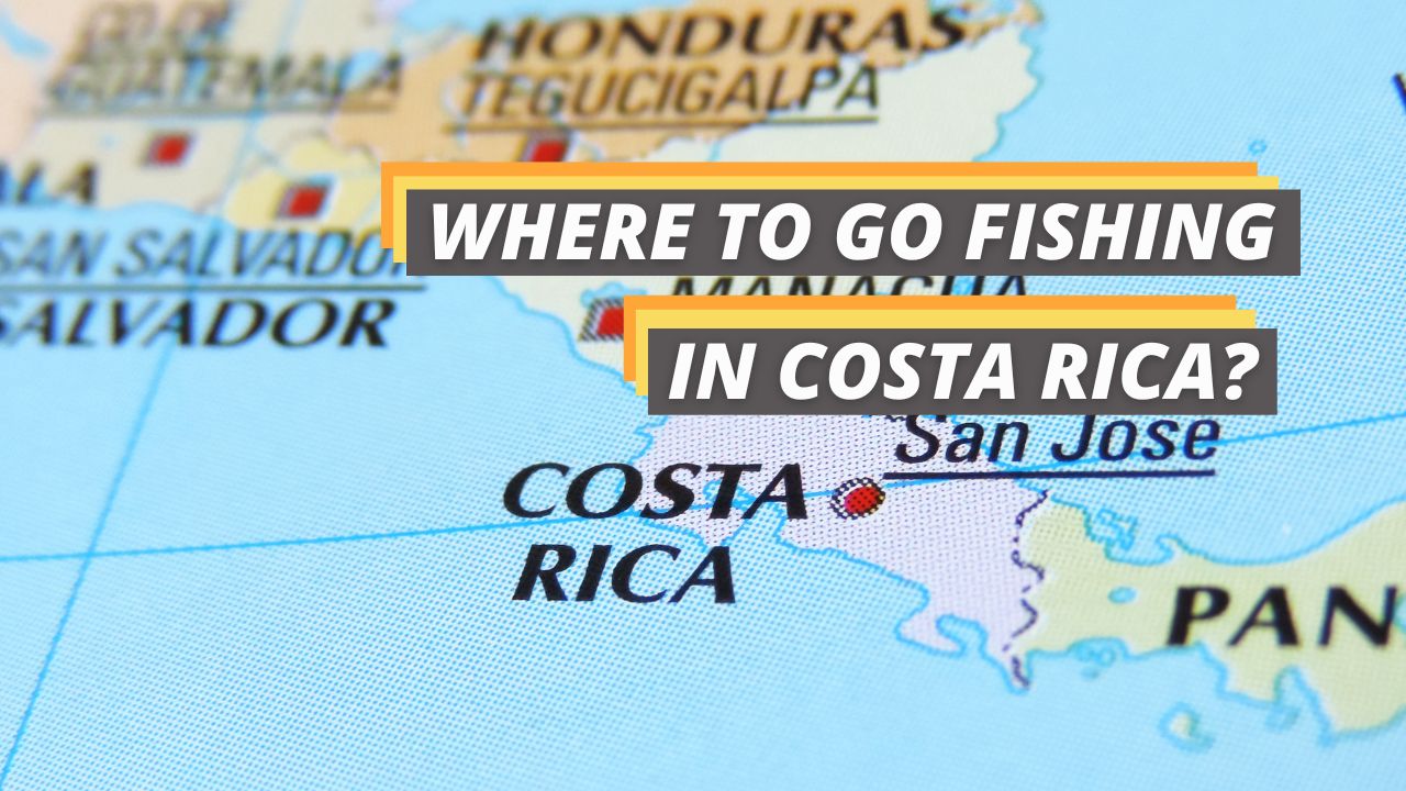 Fished That's featured image for where to go fishing in Costa Rica article