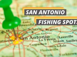 Fished That's featured image for the best San Antonio fishing spots