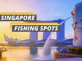 Fishing spots in Singapore featured image from Fished That