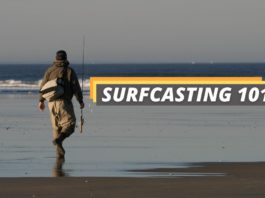 surfcasting 101 featured image from Fished That.