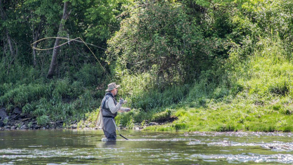 angler trout fishing in a river