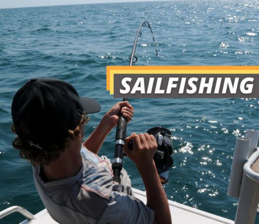 Sailfishing 101 featured image from Fished That.