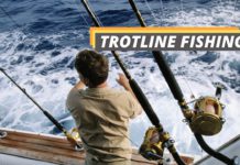 Trotline fishing featured image from Fished That.