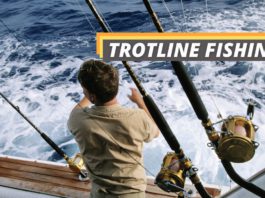 Trotline fishing featured image from Fished That.