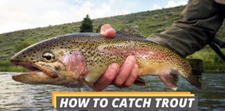 how to catch trout featured image from Fished That