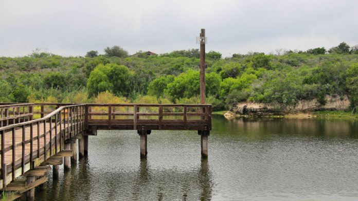 10 Fishing Spots in Corpus Christi for the Whole Family to Enjoy