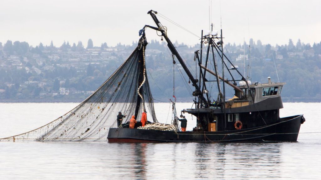 Photo of a trawling boat