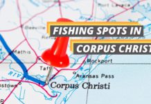 Fishing spots in Corpus Christi featured image from Fished That