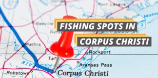 Fishing spots in Corpus Christi featured image from Fished That