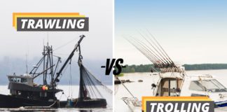 Trawling vs. trolling featured image from Fished That