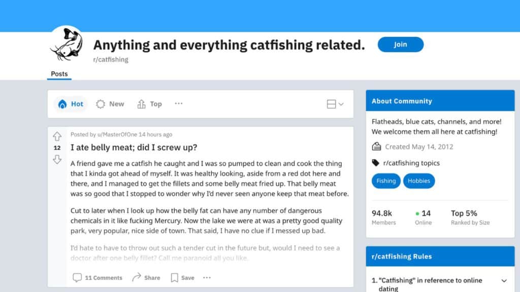 Screenshot of catfishing subreddit in Reddit