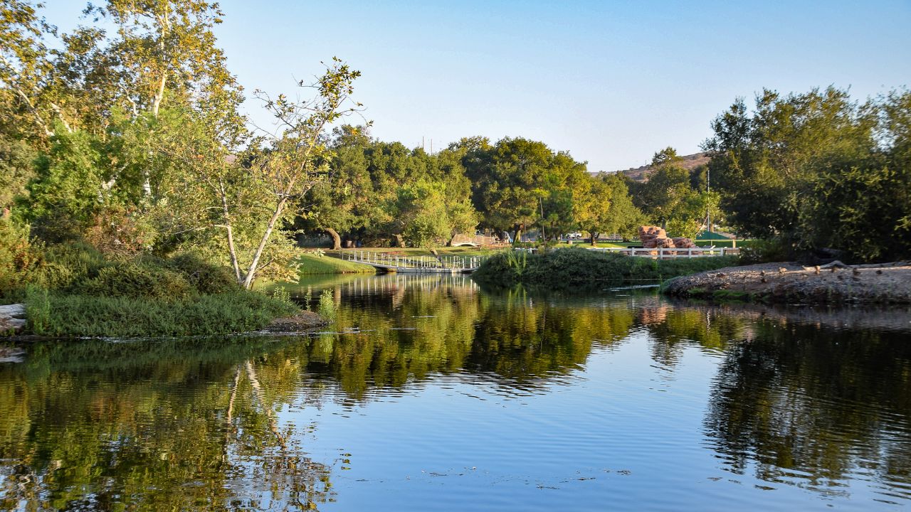 Catfishing Near Me Finding Catfish Fishing Spots Near You Fished That