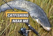 Catfishing near me featured image from Fished That