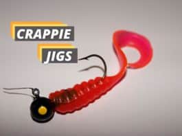 Fished That's featured image about crappie jigs