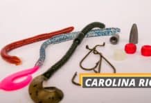 carolina rig featured image from Fished That