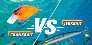 jerkbait vs crankbait featured image from FishedThat
