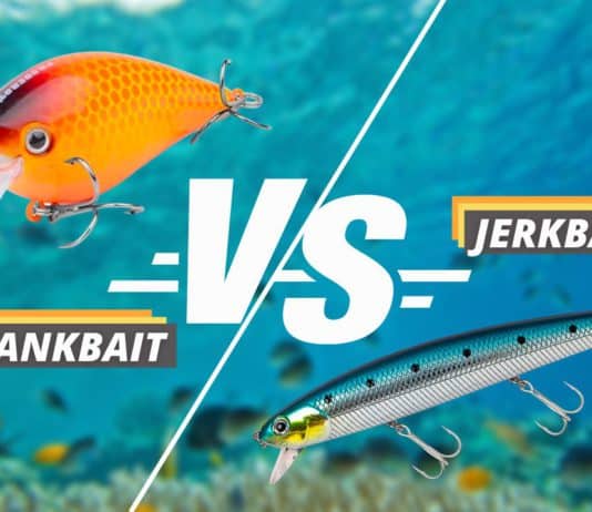 jerkbait vs crankbait featured image from FishedThat