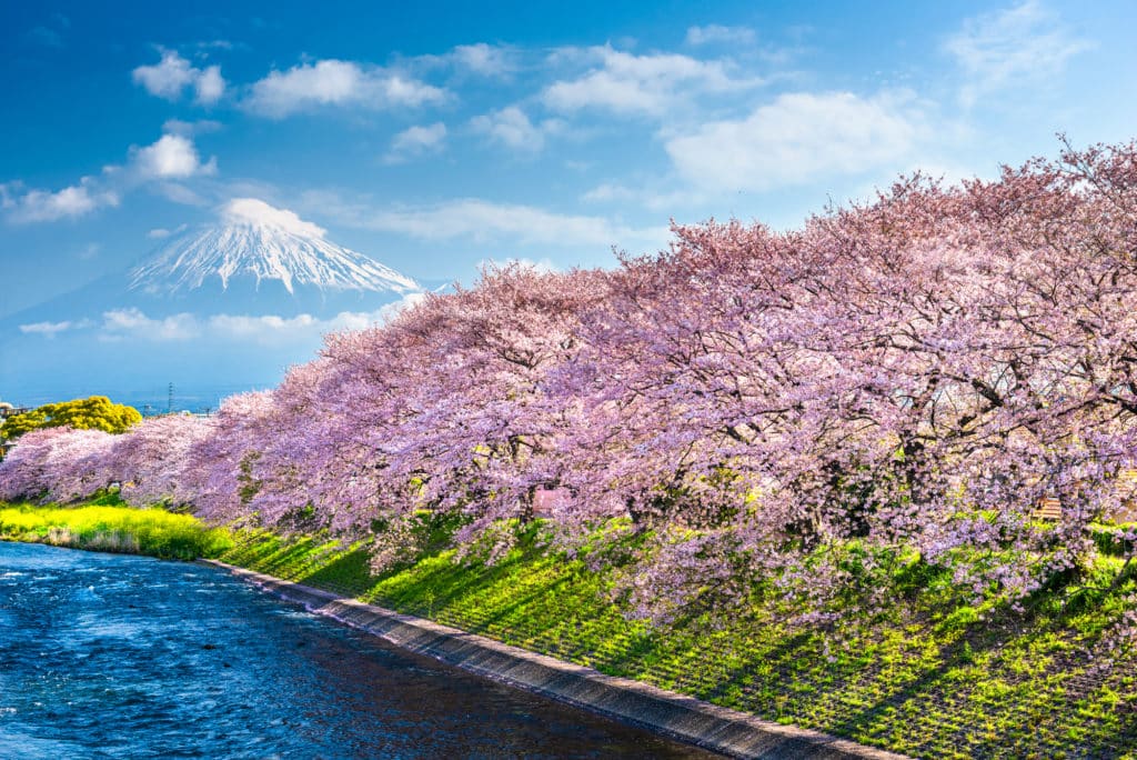 Mt. Fuji, Japan From Shizuoka Prefecture In Spring