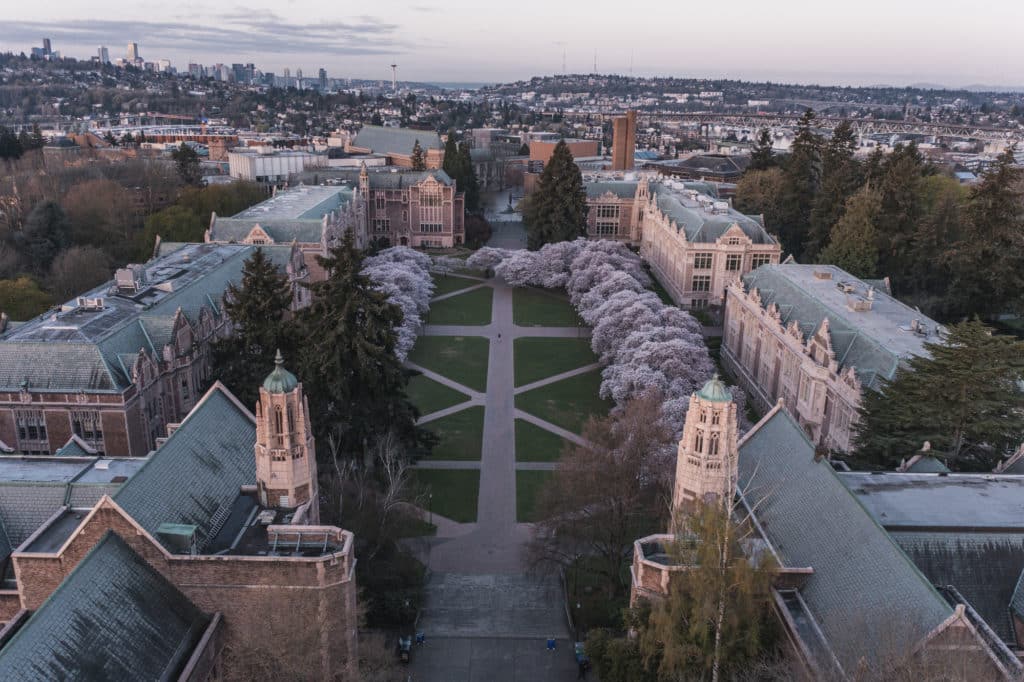 Aerial View Of The Cherry Blossoms Of The University Of Washington In Seattle During Sunrise