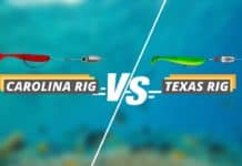 Carolina rig vs Texas rig featured image from Fished That