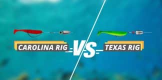 Carolina rig vs Texas rig featured image from Fished That