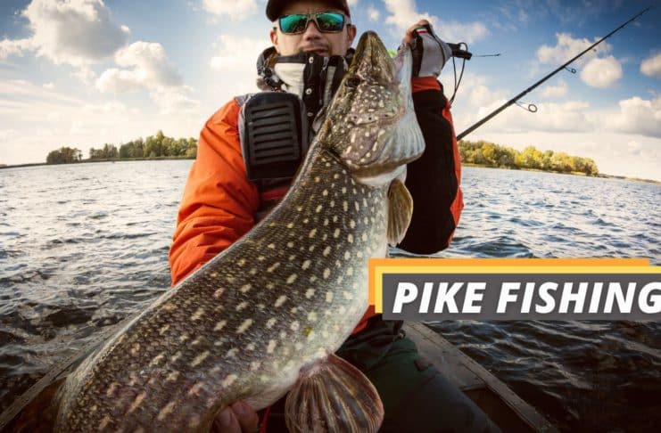 Pike fishing featured image from Fished That.