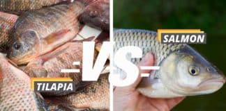 tilapia vs salmon featured image from Fished That.