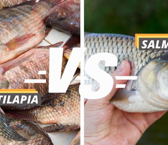 tilapia vs salmon featured image from Fished That.